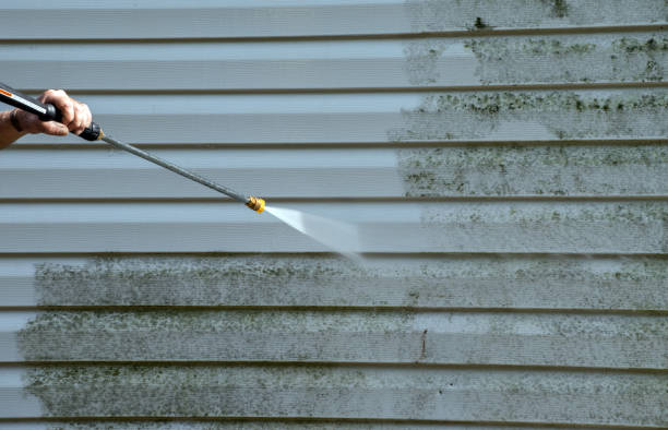 Mold Removal and Inspection in Montrose Ghent, OH