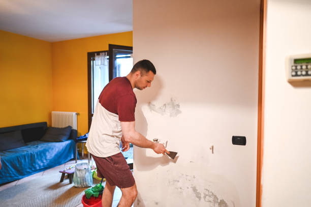 Best Office Mold Removal Services  in Montrose Ghent, OH